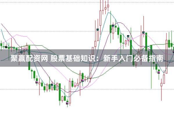 聚赢配资网 股票基础知识：新手入门必备指南