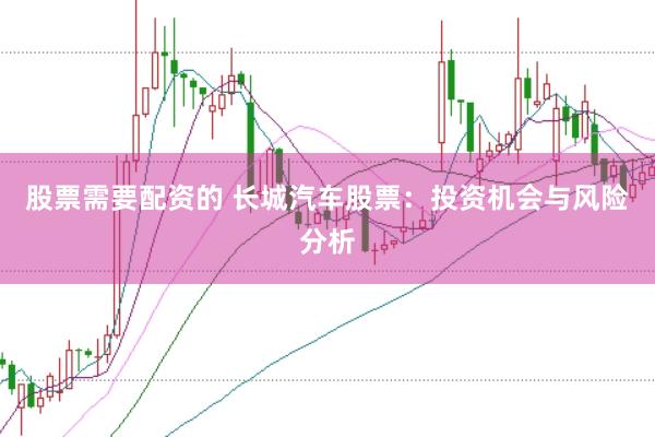 股票需要配资的 长城汽车股票：投资机会与风险分析