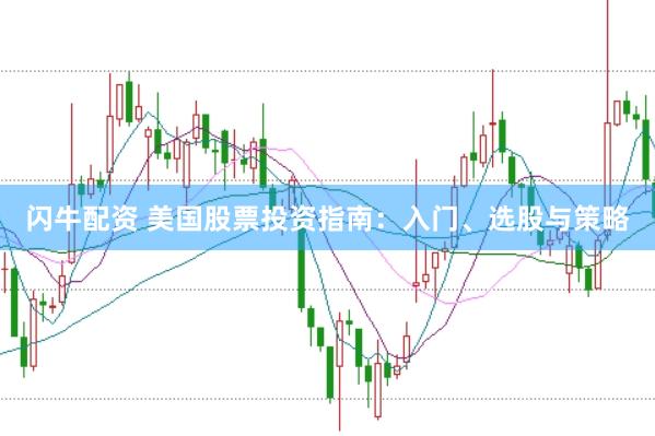 闪牛配资 美国股票投资指南：入门、选股与策略
