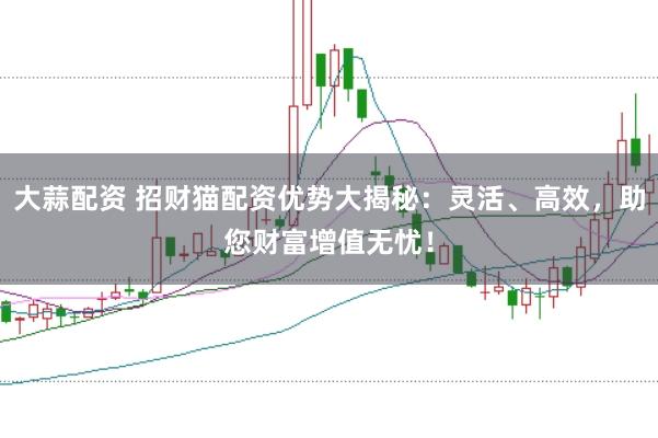 大蒜配资 招财猫配资优势大揭秘：灵活、高效，助您财富增值无忧！