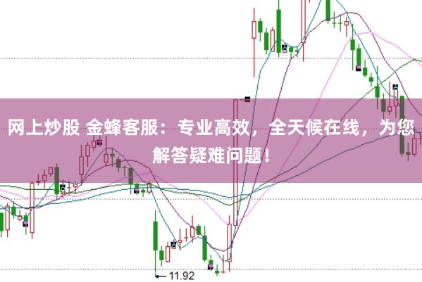 网上炒股 金蜂客服：专业高效，全天候在线，为您解答疑难问题！