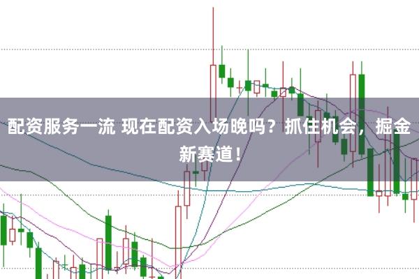 配资服务一流 现在配资入场晚吗？抓住机会，掘金新赛道！